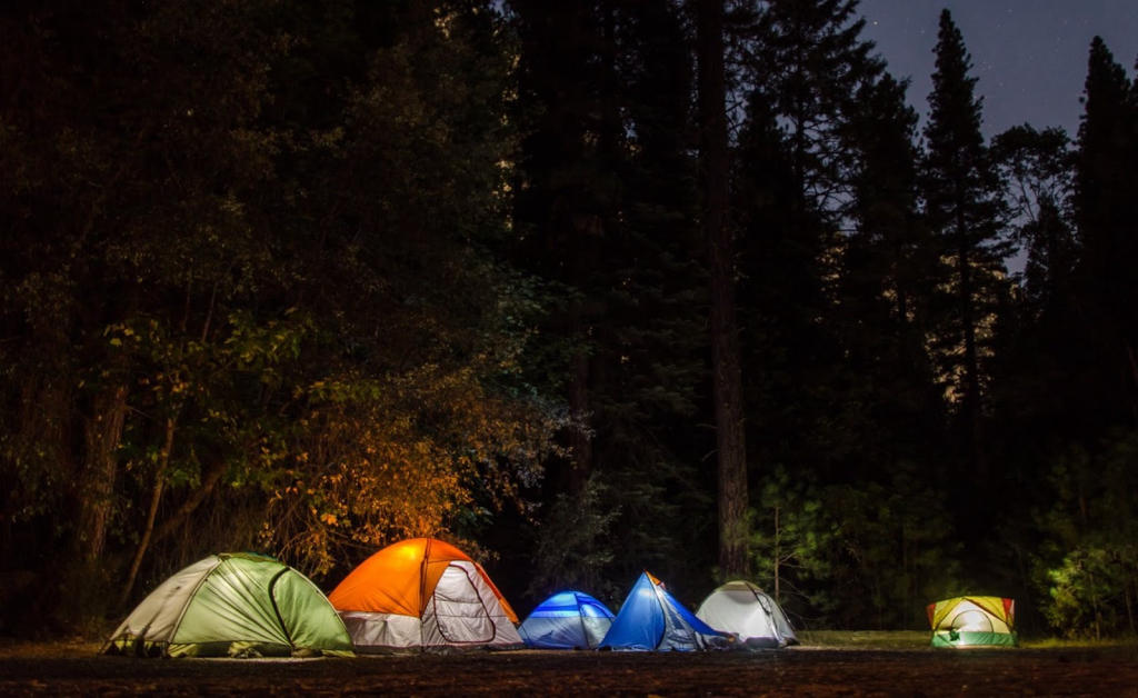 đi cắm trại trong rừng